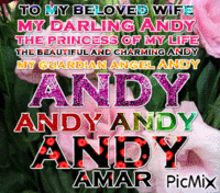 à mon épouse adorée Andy - Darmowy animowany GIF