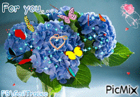 Geraniums for you.... - Darmowy animowany GIF