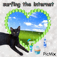 surfing the internet - GIF animé gratuit