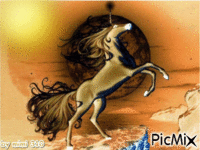 licorne au levée du soleil - GIF animado gratis
