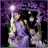 Woman in purple with her beloved kittens Gif Animado