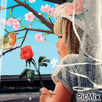 Menina e o pássaro - GIF animé gratuit
