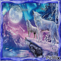 Wölfe im Winter - Blau- und Lilatöne - Darmowy animowany GIF