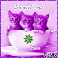 Bon week-end les chatons - Darmowy animowany GIF