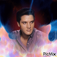 Elvis Presley multicolore - GIF animate gratis