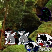 EMO WOLF FOREST - GIF animé gratuit
