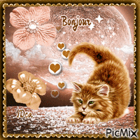 Bonjour les chatons Animated GIF