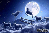 Counting sheep - Zdarma animovaný GIF