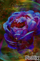 magic flower - Free animated GIF