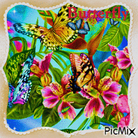 Hübscher Schmetterling - Безплатен анимиран GIF