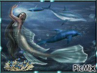 mermaid & dolphins - GIF animado grátis