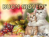 BUON GIOVEDI' - Безплатен анимиран GIF