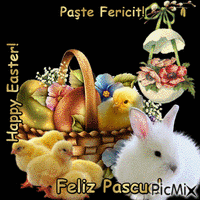 Happy Easter!q Animiertes GIF