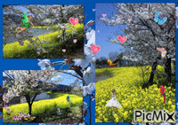 上堰潟公園 - Ücretsiz animasyonlu GIF