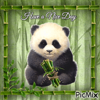 Have a Nice Day Little Panda Bear - GIF animado grátis