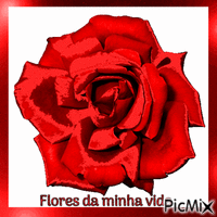 Flores da minha vida - Бесплатный анимированный гифка