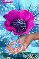 fleur fushias. - Free animated GIF