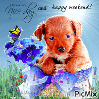 Have a nice day and happy weekend. animoitu GIF