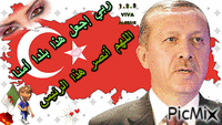تركيا animēts GIF