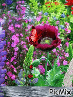 jardin - 免费动画 GIF