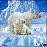 Les ours - Animovaný GIF zadarmo