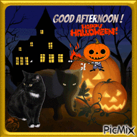 Szép Halloween - GIF animado grátis
