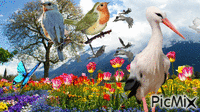 Aves y flores de campo - GIF animé gratuit