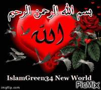 IslamGreen34 New World - GIF animé gratuit