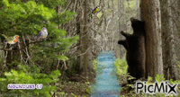 ours - GIF animé gratuit