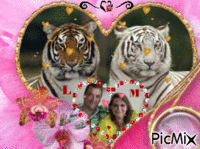 nous tigre - GIF animate gratis
