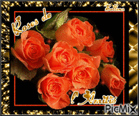 roses de l amitie - Gratis animerad GIF