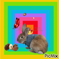 bienvenido conejo de pascua!!!! GIF animé