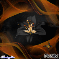 Lily of the Mists - Nemokamas animacinis gif