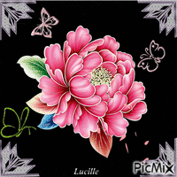 pink flower animēts GIF