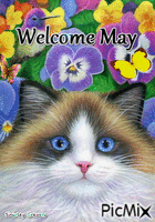 Welcome May
