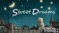 Sweet Dreams Cat - Free animated GIF