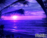 Magnificent Evening - Free animated GIF