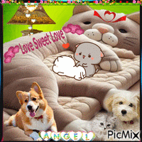 Loving cats and dogs animēts GIF