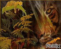 Tigre na floresta animuotas GIF