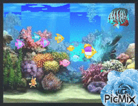 fishies - 免费动画 GIF