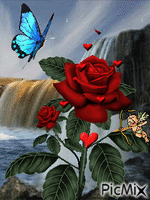 mariposa en la flor - GIF animé gratuit