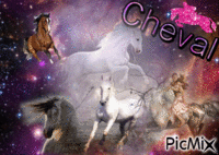 cheval ma vie <3<3<3 - Darmowy animowany GIF