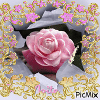 quadro rosa animowany gif
