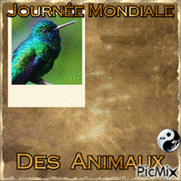 Journée Mondiale des animaux - Бесплатный анимированный гифка