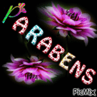 parabens - Gratis animeret GIF