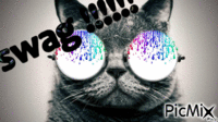 swag le chat - Besplatni animirani GIF