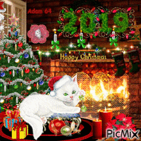 Christmas Cat K+