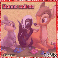 BONNE SOIREE 14 01 - Nemokamas animacinis gif