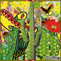 Cactus,concours - GIF animé gratuit