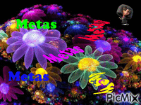 metas - Бесплатный анимированный гифка